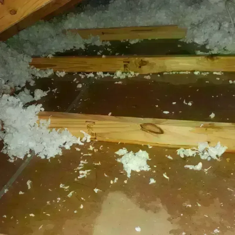 Attic Water Damage in Darmstadt, IN